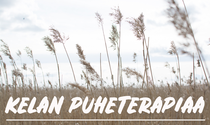 Puheterapia; puheterapeutti; puhe; kieli; kommunikaatio; vuorovaikutus; kuntoutus; terapeutti; terapia; kielihäiriö; kuulo; luki; artikulaatio; viittomat; kuvakommunikaatio, Sanatuuli, puheterapiapalvelu